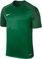 Футбольна футболка підліткова Nike TROPHY III зелена 881484-302