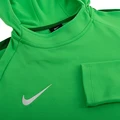 Толстовка Nike ACADEMY 18 HOODY зеленая AH9608-361