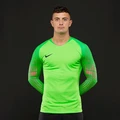 Воротарська кофта Nike GARDIEN зелена 898043-398