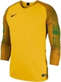 Воротарська кофта Nike GARDIEN жовта 898043-719