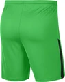 Шорты тренировочные Nike LEAGUE KNIT II зеленые BV6852-329