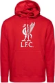 Толстовка Nike Liverpool F.C. Club красная CZ2773-657