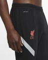 Штаны спортивные Nike Liverpool FC VaporKnit Strike черные CZ3320-010