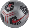 Футбольний м'яч Nike LFC NK PTCH - SP21 сірий DD7138-020 Розмір 5