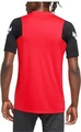 Футболка Nike LFC BRT STRK TOP SS CL красно-черная CZ3305-644