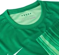Футболка Nike CLUB GENIUS LS GK P JERSEY зеленая 678165-319