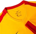 Футболка Nike DRY PARK DERBY II желто-красная 894312-739