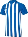 Футболка Nike STRIPED DIVISION III JERSEY синьо-біла 894081-464