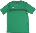 Футболка подростковая Nike TRENINGOWA ACADEMY 16 T зеленая 726008-302
