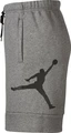 Шорты Nike JUMPMAN AIR FLC SHORT серые CK6707-091