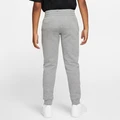 Спортивные штаны подростковые Nike NSW CLUB FLC JOGGER PANT серые CI2911-091