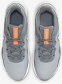 Кроссовки Nike LEGEND ESSENTIAL 2 серые CQ9356-007