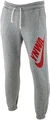 Штаны спортивные Nike LFC HERITAGE JGGR SB серые DD9750-002