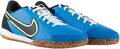 Футзалки (бампы) Nike TIEMPO LEGEND 9 ACADEMY IC голубые DA1190-403