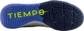 Футзалки (бампи) Nike TIEMPO LEGEND 9 ACADEMY IC сірі DA1190-075