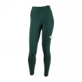 Лосини жіночі Nike SWSH HR TIGHT зелені DM6207-397