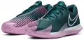 Кроссовки для тенниса Nike AIR ZOOM VAPOR CAGE 4 HC CD0424-300