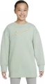 Свитшот подростковый Nike G NSW BF CREW серый DO8391-017