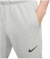 Спортивные штаны Nike M NK DF PNT TAPER FL светло-серые CZ6379-063