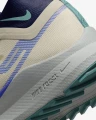 Кросівки для трейлраннінгу Nike REACT PEGASUS TRAIL 4 GTX бежево-зелені DJ7926-100