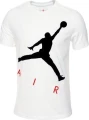 Футболка Nike JORDAN MJ JUMPMAN AIR HBR SS CREW біла CV3425-101