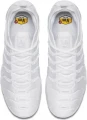 Кросівки Nike AIR VAPORMAX PLUS білі 924453-100