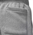 Спортивні штани Nike JORDAN FLC PANT сірі DQ7340-091