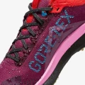 Кросівки бігові жіночі Nike W REACT PEGASUS TRAIL 4 GTX бордові FD0875-600