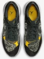 Кросівки Nike JORDAN DELTA 3 LOW сірі DN2647-007