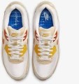 Кросівки Nike AIR MAX 90 SE кольорові FB4315-100
