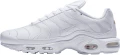 Кроссовки Nike AIR MAX PLUS белые AJ2029-100