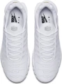 Кросівки Nike AIR MAX PLUS білі AJ2029-100