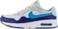 Кроссовки Nike AIR MAX SC серо-синие CW4555-012