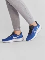Кроссовки беговые Nike AIR ZOOM PEGASUS 39 синие DH4071-400