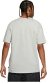 Футболка Nike M NSW PREM ESSNTL SUST TEE сіра DO7392-063