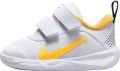 Кроссовки детские Nike OMNI MULTI-COURT (TD) белые DM9028-102