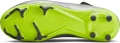 Бутсы детские Nike JR ZOOM VAPOR 15 ACAD XXV FGMG серые FJ2040-060