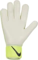 Вратарские перчатки Nike NK GK MATCH - FA20 разноцветные CQ7799-016
