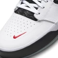 Кросівки Nike SB ISHOD PRM L чорно-білі DZ5648-100