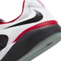 Кросівки Nike SB ISHOD PRM L чорно-білі DZ5648-100