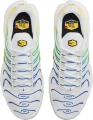 Кросівки жіночі Nike W AIR MAX PLUS білі DZ3671-101