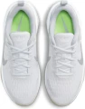 Кросівки жіночі Nike ZOOM BELLA 6 PRM сірі DV9017-001