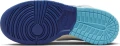 Кроссовки детские Nike DUNK HIGH SE (GS) разноцветные FN7995-100