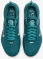 Кросівки тенісні Nike ZOOM COURT NXT HC бірюзові DV3276-301
