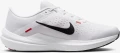 Кросівки бігові Nike AIR WINFLO 10 білі DV4022-100