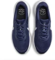 Кросівки бігові Nike REVOLUTION 7 темно-синьо-білі FB2207-400