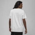 Футболка Nike M J JD AIR STRETCH SS CREW белая DV1445-100