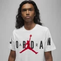 Футболка Nike M J JD AIR STRETCH SS CREW белая DV1445-100