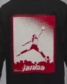 Лонгслив Nike M J BRAND LS GFX CREW черный FN5976-010