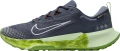 Кросівки для трейлраннінгу Nike JUNIPER TRAIL 2 GTX темно-синьо-зелені FB2067-403